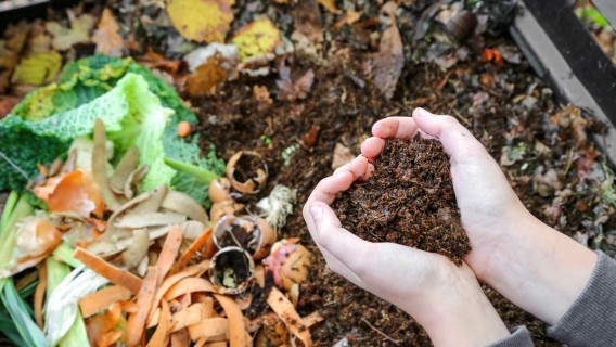 Comenzaron a dictarse los talleres de compostaje en el departamento San Martín