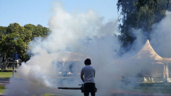 Control de plagas: Baigorria realiza fumigaciones urbanas en los barrios