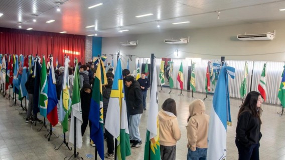 Más de 30 propuestas ya compiten para convertirse en la bandera que identifique al departamento San Martín