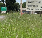 Leticia Di Gregorio volvió a reclamar por el abandono de las rutas nacionales del departamento General López