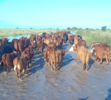 Las lluvias complican al norte de Santa Fe, donde más se siente el desmantelamiento del SMN