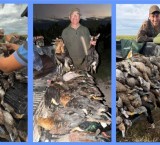 Masacre de fauna en el norte santafesino: investigan la caza ilegal de más de 300 animales