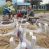 Comenzaron las obras de ampliación del taller de la Escuela Técnica de San Gregorio