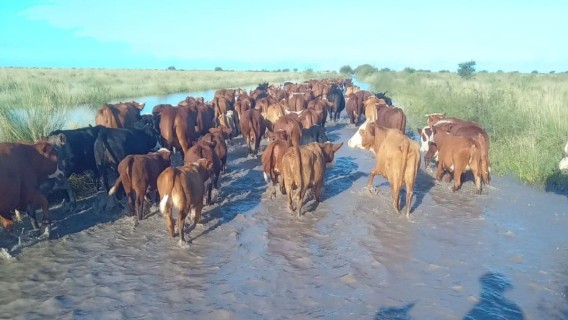 Afirman que las inundaciones en el norte de Santa Fe son una 