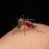 Roldán refuerza la prevención del dengue con una campaña de descacharrado en toda la ciudad