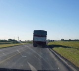 La Justicia Federal hizo lugar a una acción de amparo para exigir la reparación de la ruta nacional 34