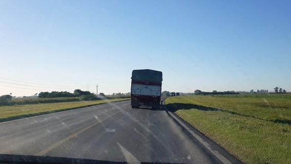 La Justicia Federal hizo lugar a una acción de amparo para exigir la reparación de la ruta nacional 34