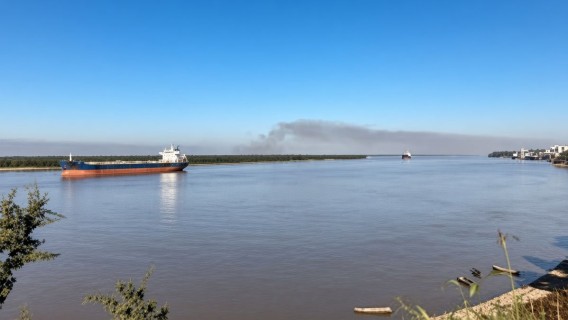 Incendios en las islas: San Lorenzo presentó una nueva denuncia penal