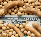 Retenciones cero: un informe económico afirma que parte del beneficio llegó a los productores